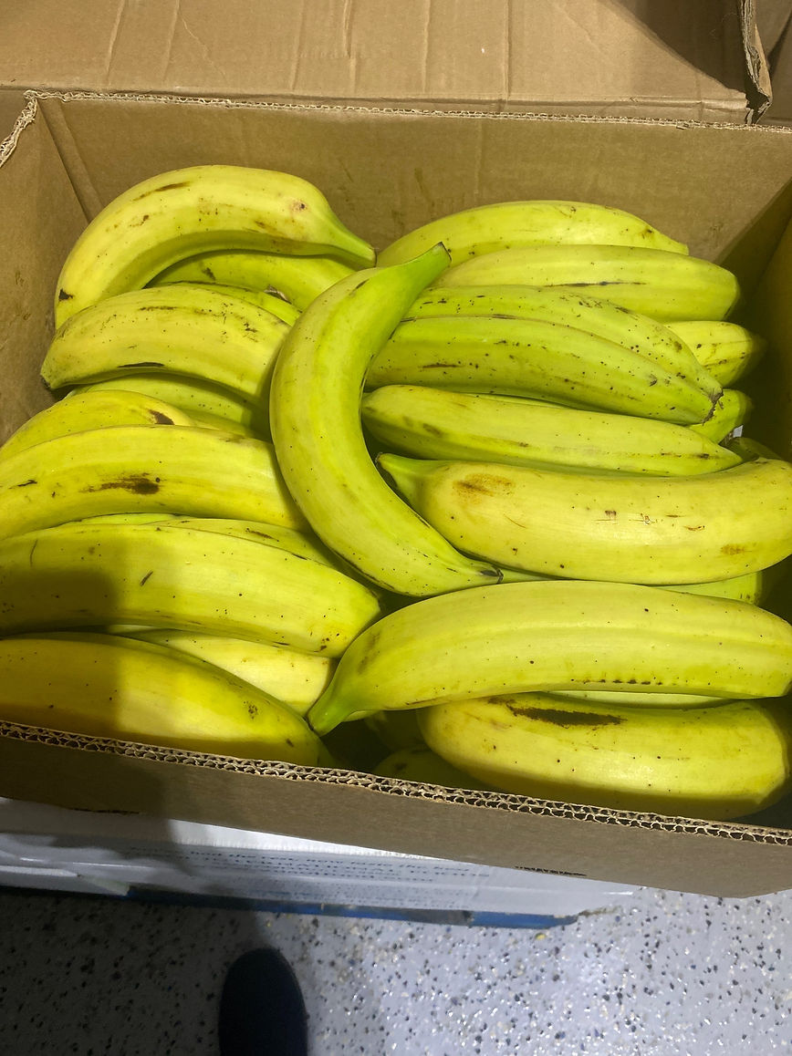 Plantain