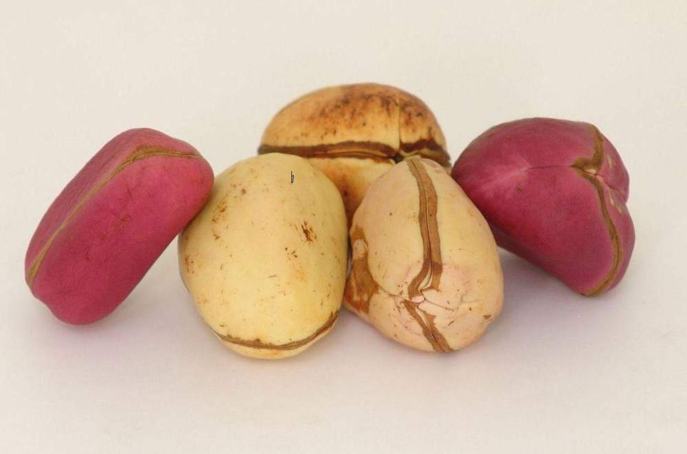 African kola nut 1lb