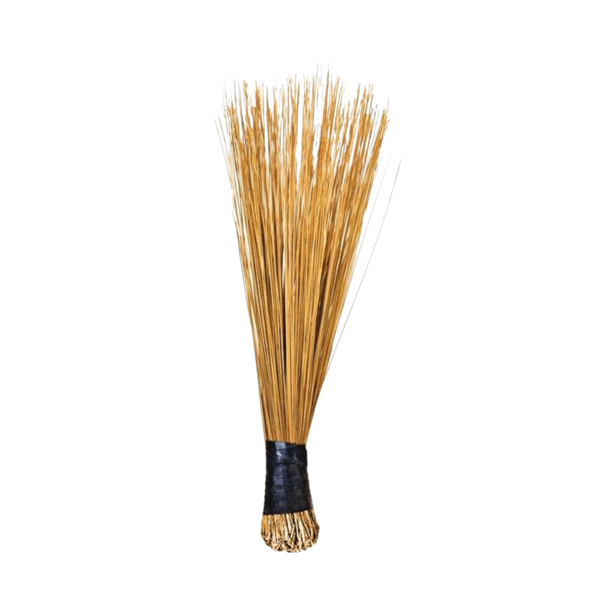 Broom -African (African Broom)