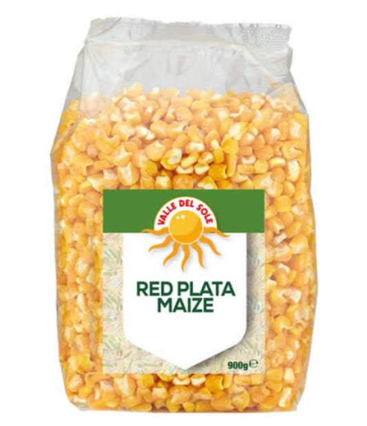 RED PLATA MAIZE