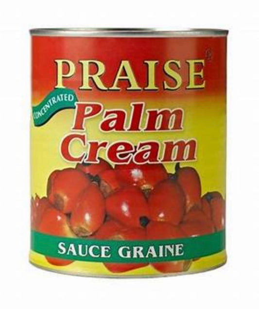 Praise Palm cream 800g